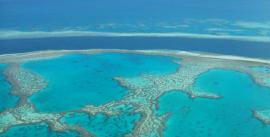 CroppedImage270137-4d5c9e375239b_16_sail-and-dive-adventures-outer-reef-low-res