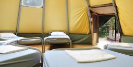 CroppedImage270137-4d40c48c374a3_71_tdslrdsc78small-teepee