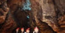 CroppedImage270137-51eca6f7dfb42_201_dw1labyrinthgroupfloatingunderglowworms