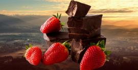 CroppedImage270137-50e7ab7aadad0_430_yarra-valley-chocolatarie