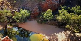 CroppedImage270137-59b72fa182dce_474_ormiston-gorge