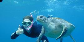 CroppedImage270137-4dcb317a11125_636_snorkeler-turtle