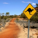 kangeroo road sign